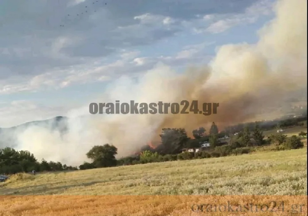 Μεγάλη φωτιά στο Ωραιόκαστρο: Εναέριες ρίψεις από την πυροσβεστική (ΦΩΤΟ+VID)