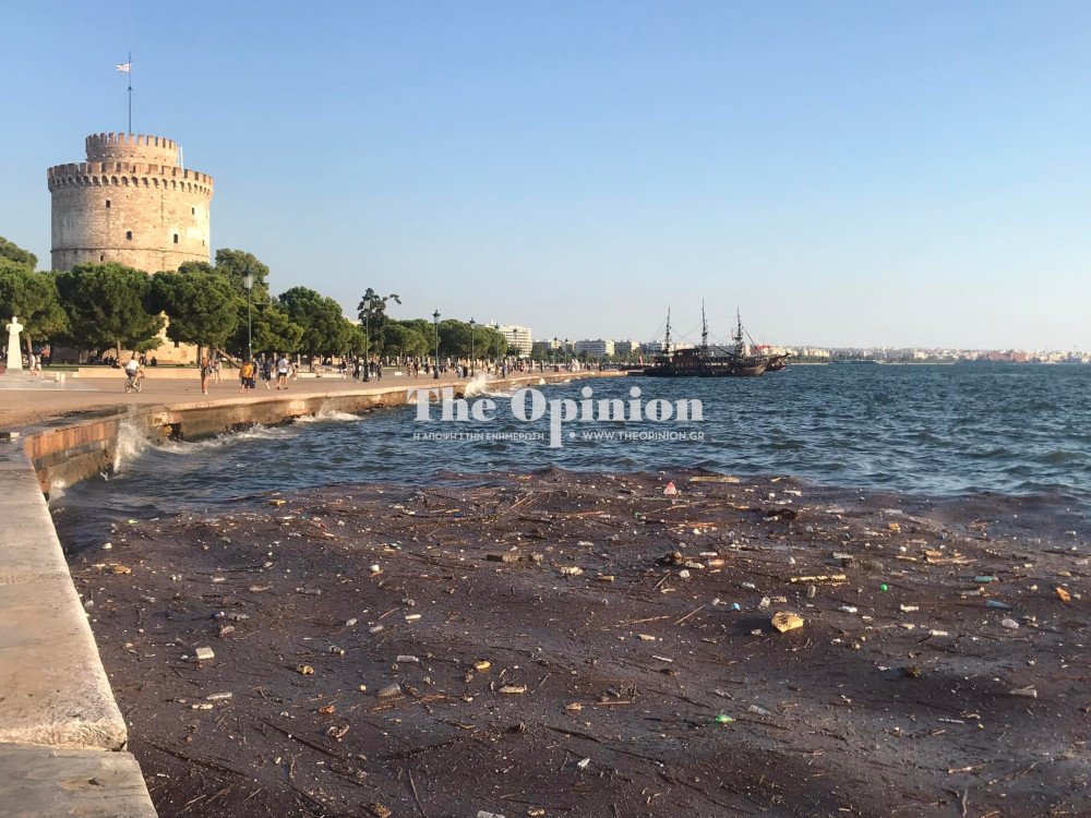 Θεσσαλονίκη: Νεκρά ποντίκια και σκουπίδια με θέα τον Λευκό Πύργο (ΦΩΤΟ & VIDEO)