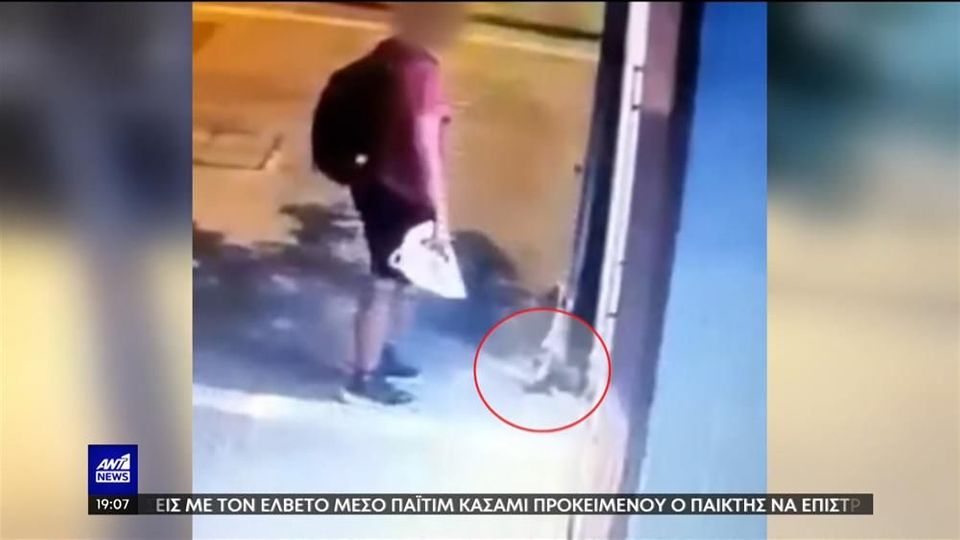 γατάκι,