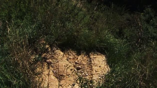 Καστοριά: Ένοχος ο γιος της 82χρονης που αγνοούταν και εντοπίστηκε θαμμένη (Video)