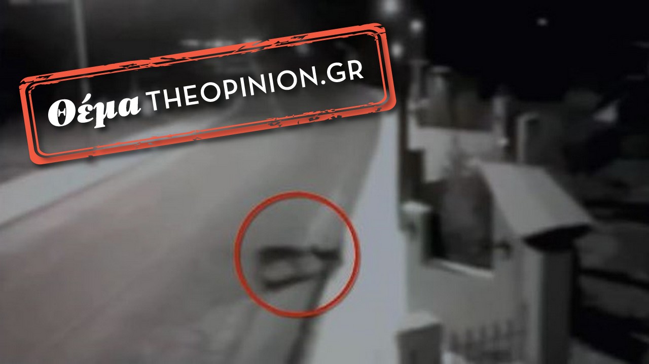 Λύκοι στο δήμο Χαλκηδόνος: Πανικός από τις «επισκέψεις» για τροφή – Τι συμβουλεύει ο «Αρκτούρος»