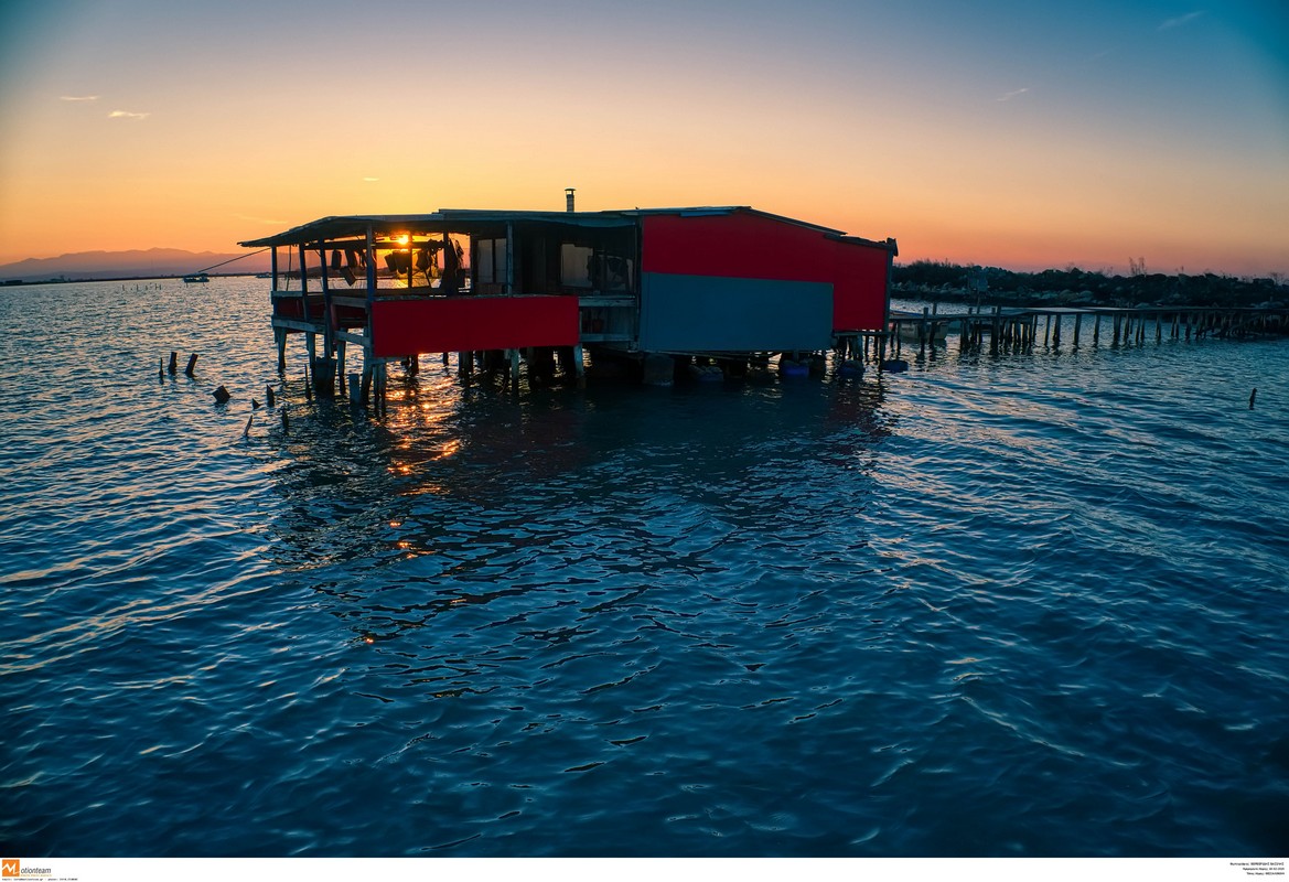 «Εμπαιγμός των επαγγελματιών μυδοκαλλιεργητών του Θερμαϊκού από την κυβέρνηση»