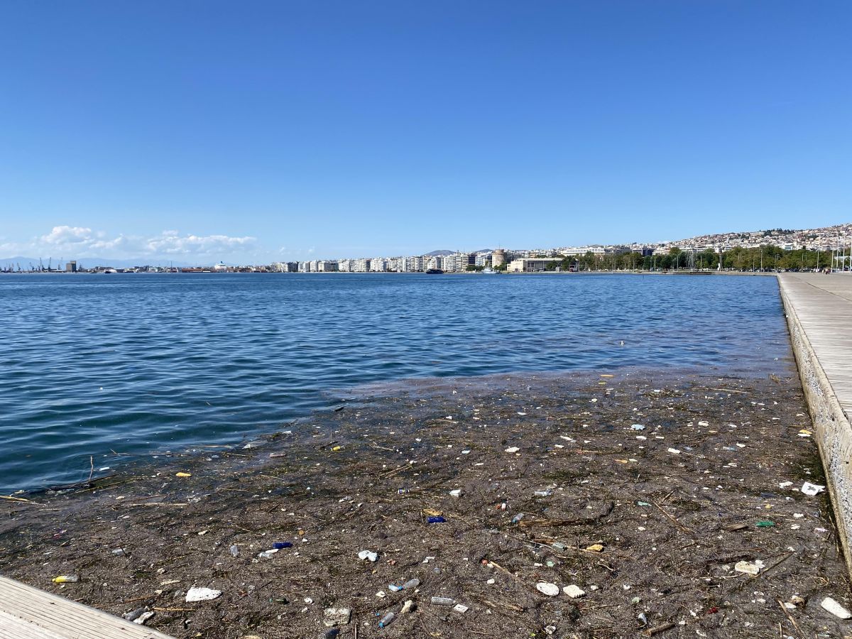 Νοτοπούλου για σκουπίδια στη Νέα Παραλία: «Άραγε ο δήμαρχος νιώθει υπερήφανος;»