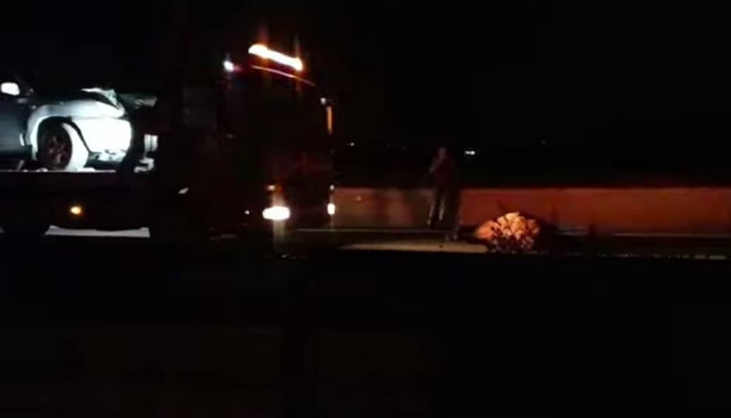 Αυτοκίνητο συγκρούστηκε με αγελάδα στις Σέρρες (ΒΙΝΤΕΟ)