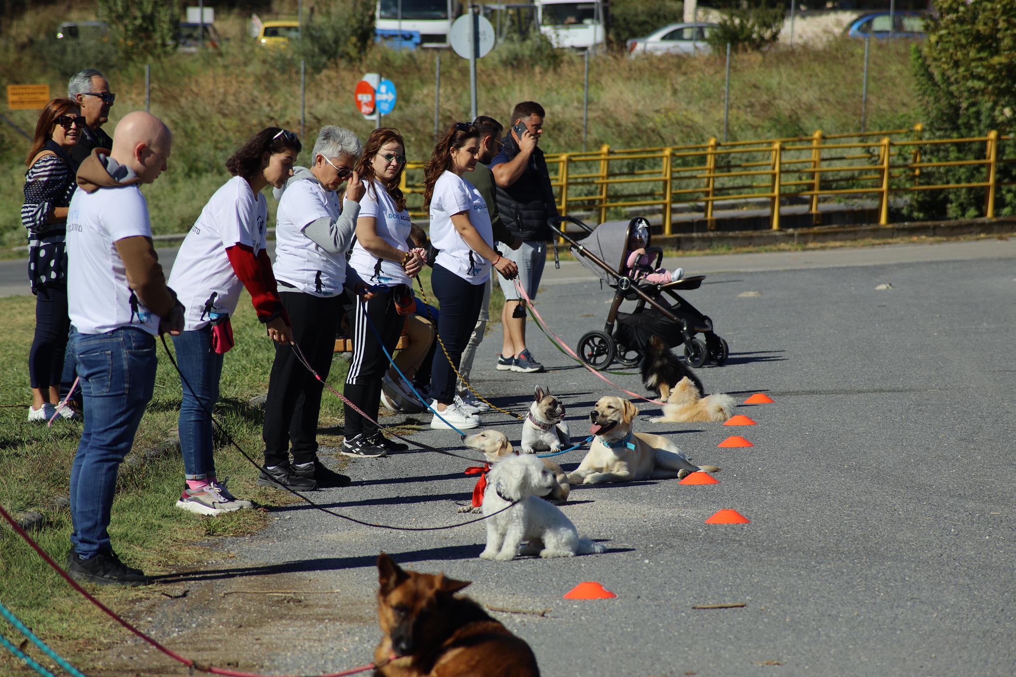 Ωραιόκαστρο: Πολίτες… «περπάτησαν για τα αδέσποτα» (ΦΩΤΟ)