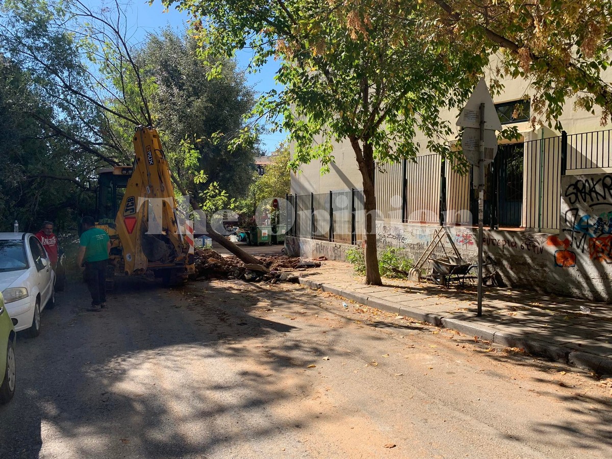 Θεσσαλονίκη: Δέντρο έπεσε δίπλα σε σχολείο – Από θαύμα δεν υπήρξαν τραυματίες (ΦΩΤΟ)