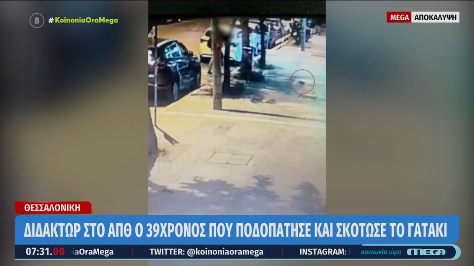 Θεσσαλονίκη: Διδάκτωρ στο ΑΠΘ ο 39χρονος που ποδοπάτησε μέχρι θανάτου το γατάκι (VIDEO)
