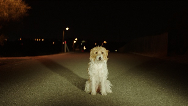 Δύο ενδιαφέρουσες ελληνικές ταινίες απόψε στην τηλεόραση