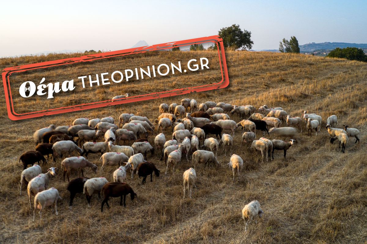 Κλονίζεται ο πρωτογενής τομέας – Άνθρωποι της αγροκτηνοτροφίας μιλούν στο TheOpinion