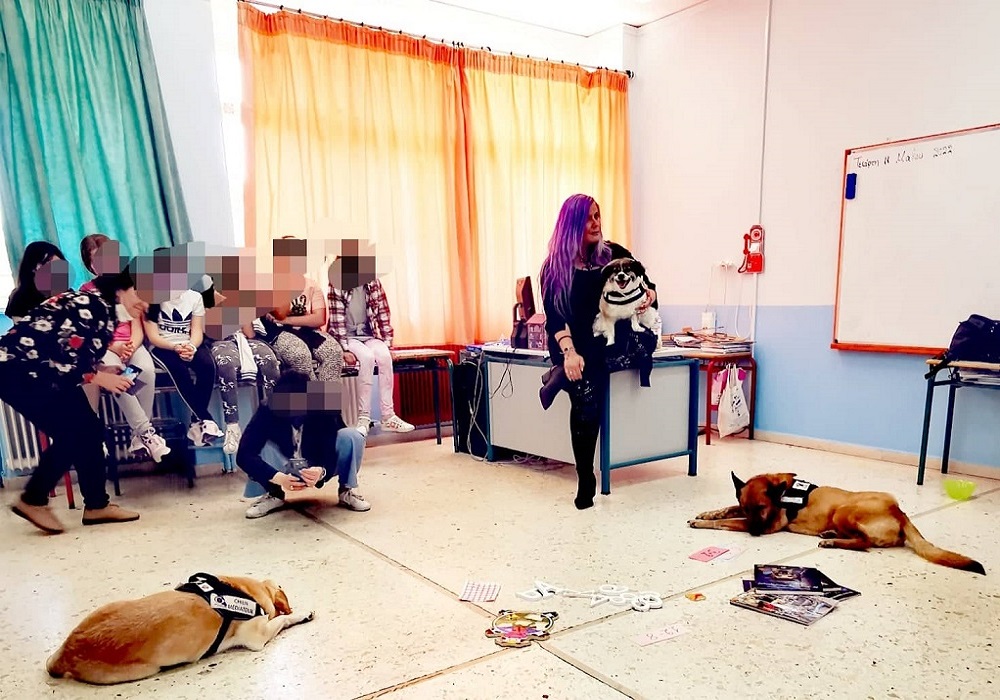 Θεσσαλονίκη: Αδέσποτα σκυλιά αναλαμβάνουν… διδασκαλία αγάπης σε μαθητές