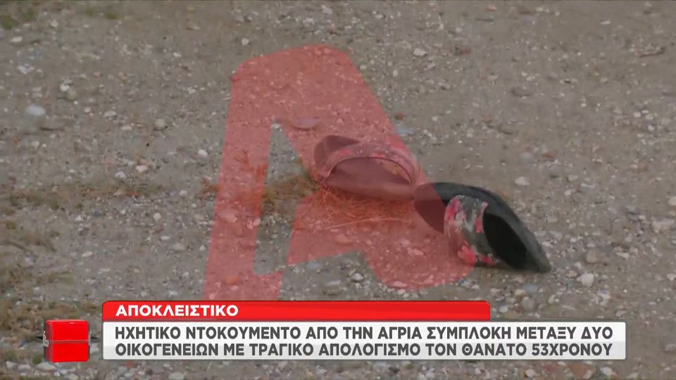 Χαλκιδική: Σοκάρει το ηχητικό ντοκουμέντο την ώρα του φονικού με τσεκούρι (Video)