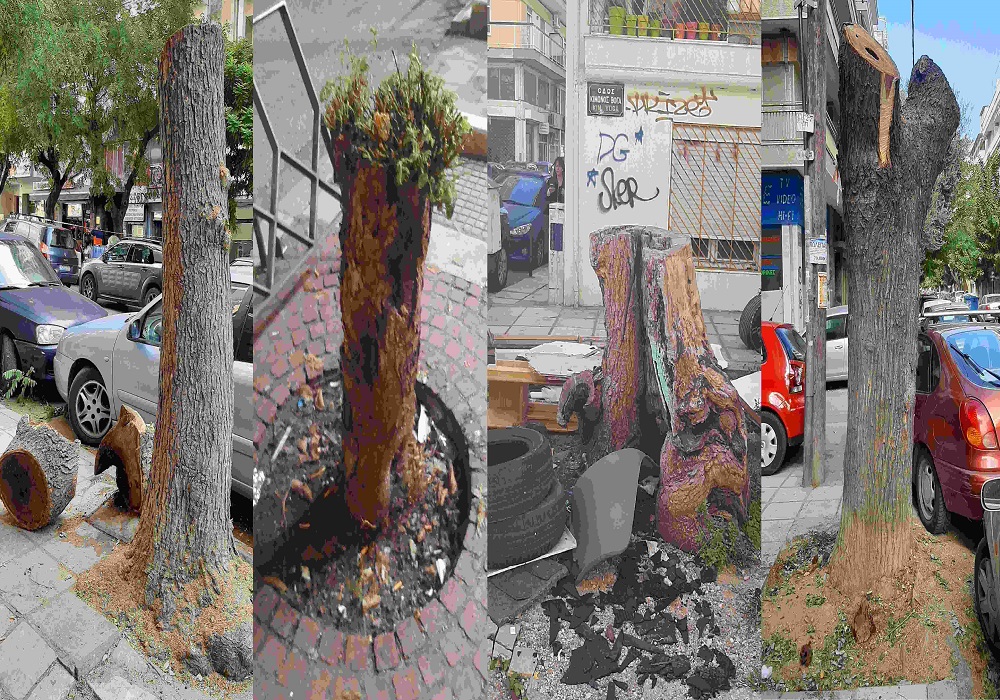 Οικολογία – Αλληλεγγύη: Κόβουν 2.000 δένδρα στον δήμο Θεσσαλονίκης!