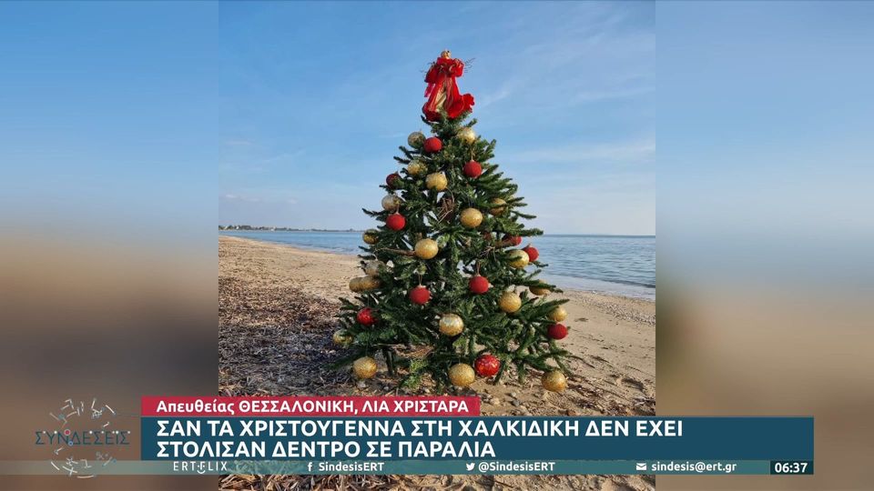 Χριστούγεννα στη Χαλκιδική με δέντρο στην παραλία! (VIDEO)