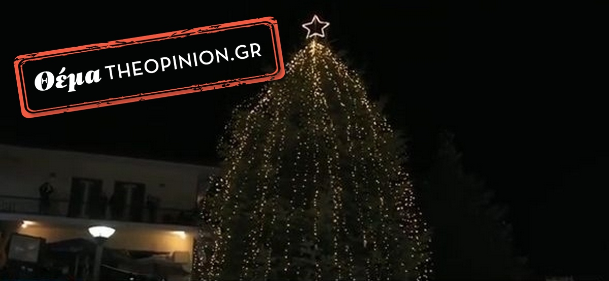 Ήρθαν… τα Χριστούγεννα στον Ταξιάρχη Χαλκιδικής – Ξεκίνησε η πώληση ελάτων