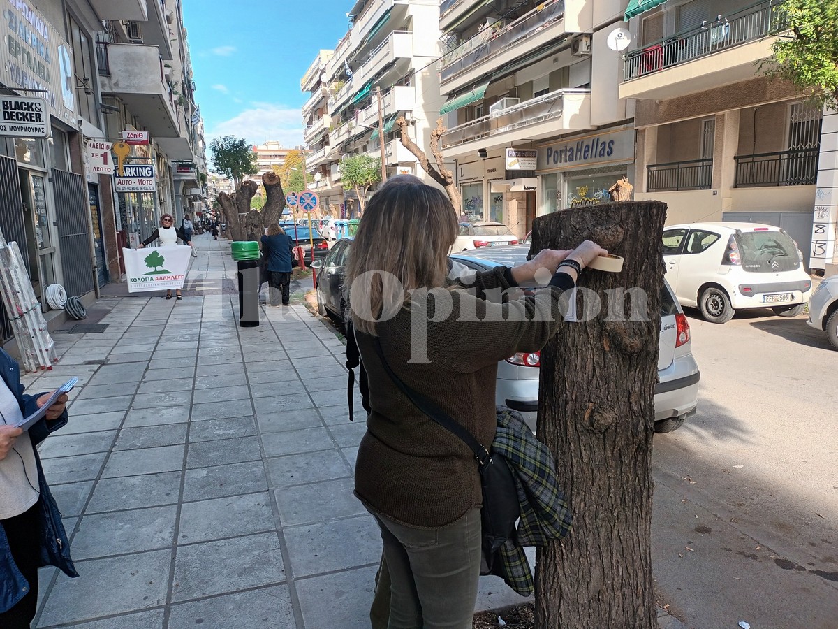 «Κηδειόχαρτα« στα δέντρα της Θεσσαλονίκης – Λένε όχι στις κοπές από τον δήμο