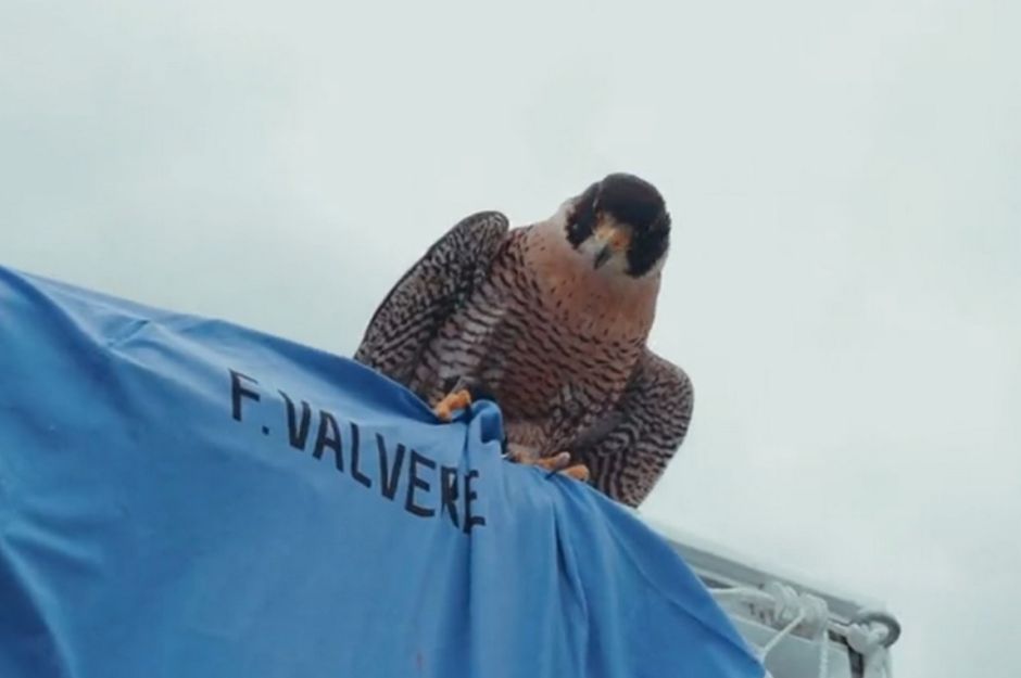 Μουντιάλ 2022: Η Ουρουγουάη πώρωσε τους ποδοσφαιρόφιλους με την παρουσίαση της αποστολής (ΒΙΝΤΕΟ)