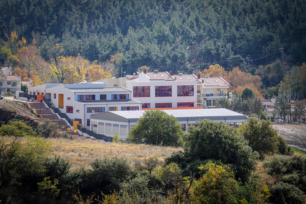 Δήμος Νεάπολης – Συκεών: Μαζική φύτευση δέντρων στην αυλή του 2ου Γυμνασίου Πεύκων