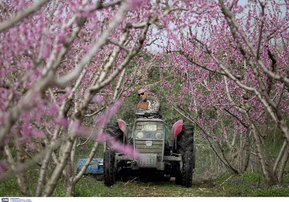 ΕΛΓΑ: Δύο νέα μέτρα στήριξης για τους αγρότες