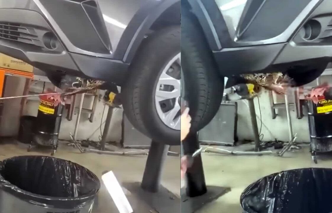 Ποντίκια γαντζώθηκαν σε μηχανή αυτοκινήτου (Video)