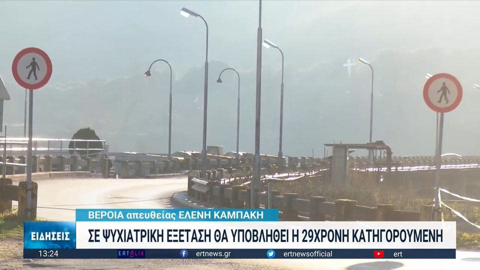 Βέροια: Σε 10 ημέρες η ψυχιατρική γνωμάτευση για την 29χρονη μητέρα (Video)