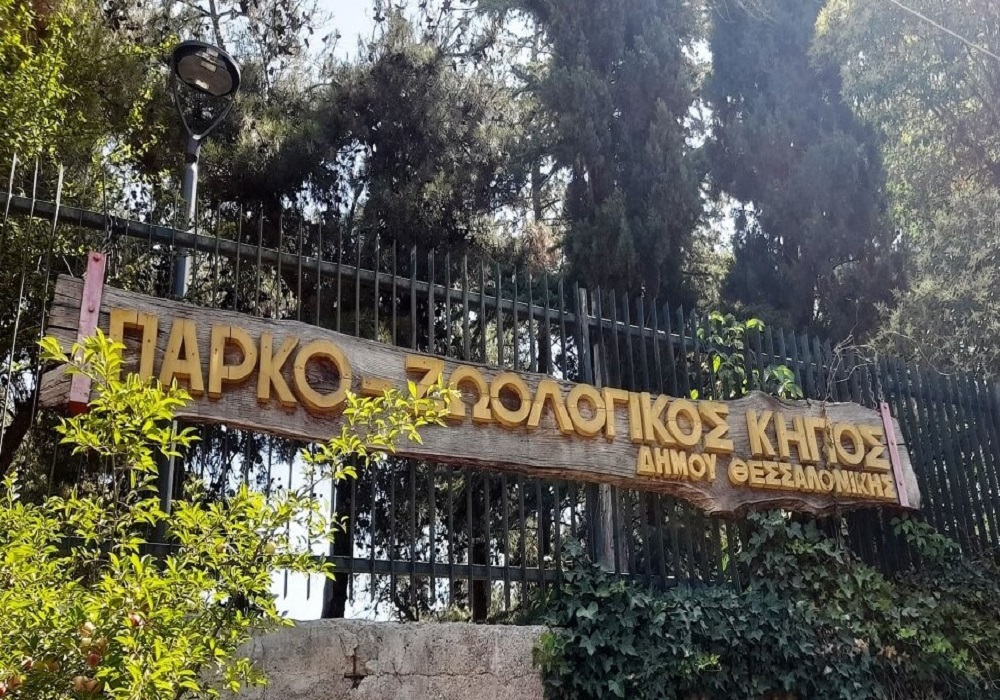 Θεσσαλονίκη: Κλείνει μέχρι νεωτέρας ο Ζωολογικός κήπος – Τι συνέβη