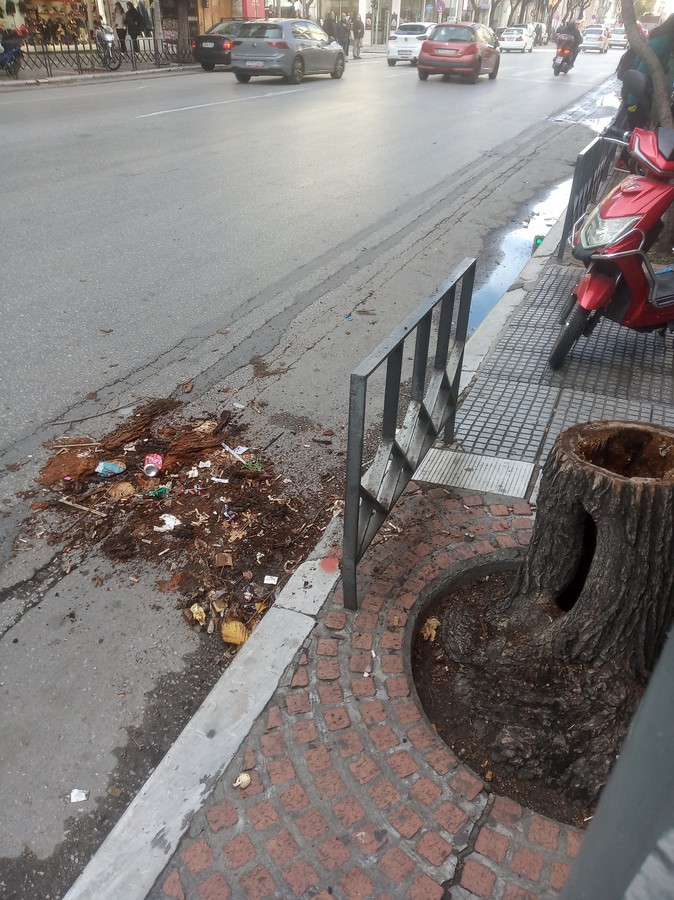 Γάκης: Κούφιοι κορμοί δέντρων μετατράπηκαν σε κάδους απορριμμάτων (ΦΩΤΟ)