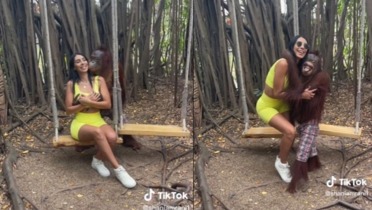 Viral ο πιο «ερωτιάρης» χιμπατζής που πολιορκεί τουρίστρια (Video)