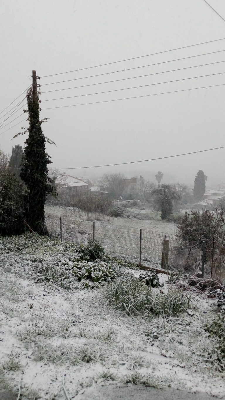Χιόνισε τα ορεινά της Χαλκιδικής (ΦΩΤΟ)
