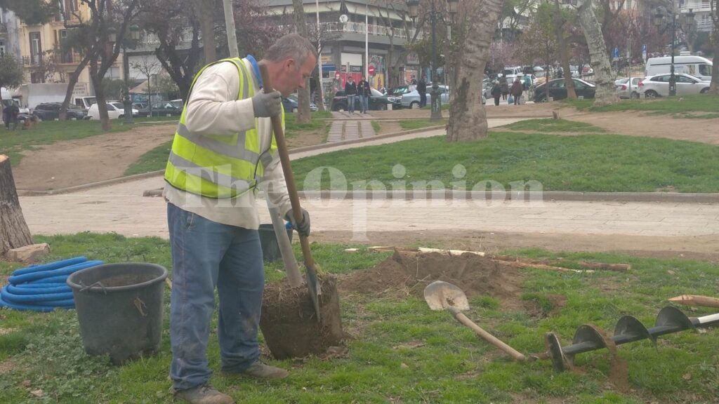Άρχισαν οι φυτεύσεις δέντρων στην πλατεία Αρχαίας Αγοράς (ΦΩΤΟ)