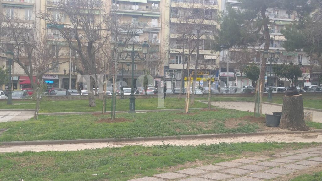 Άρχισαν οι φυτεύσεις δέντρων στην πλατεία Αρχαίας Αγοράς (ΦΩΤΟ)