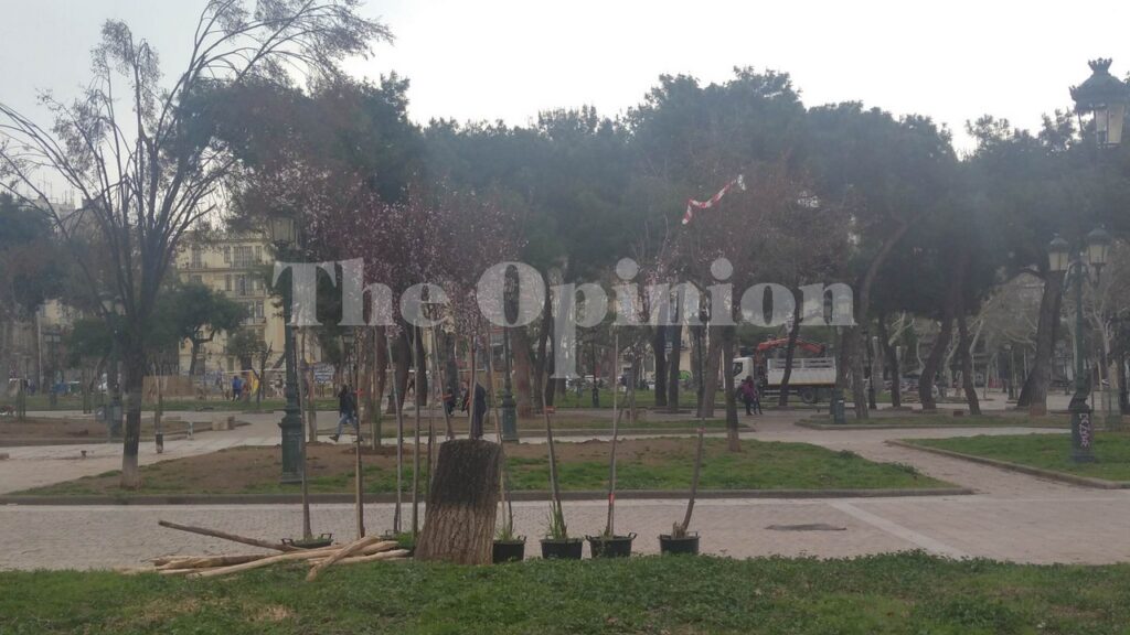Άρχισαν οι φυτεύσεις δέντρων στην πλατεία Αρχαίας Αγοράς (ΦΩΤΟ)