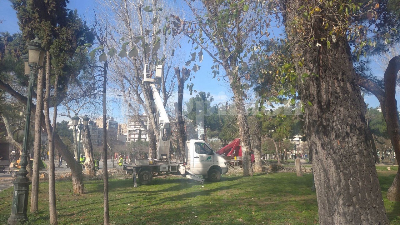 διαμαρτυρία,