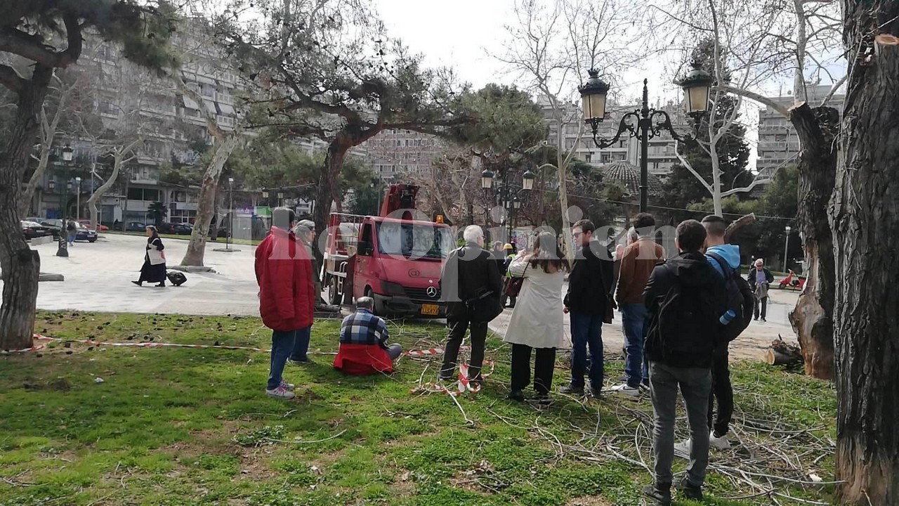 Πλατεία Ρωμαϊκής Αγοράς: Ασφαλιστικά μέτρα κατά της κοπής δέντρων (ΦΩΤΟ)