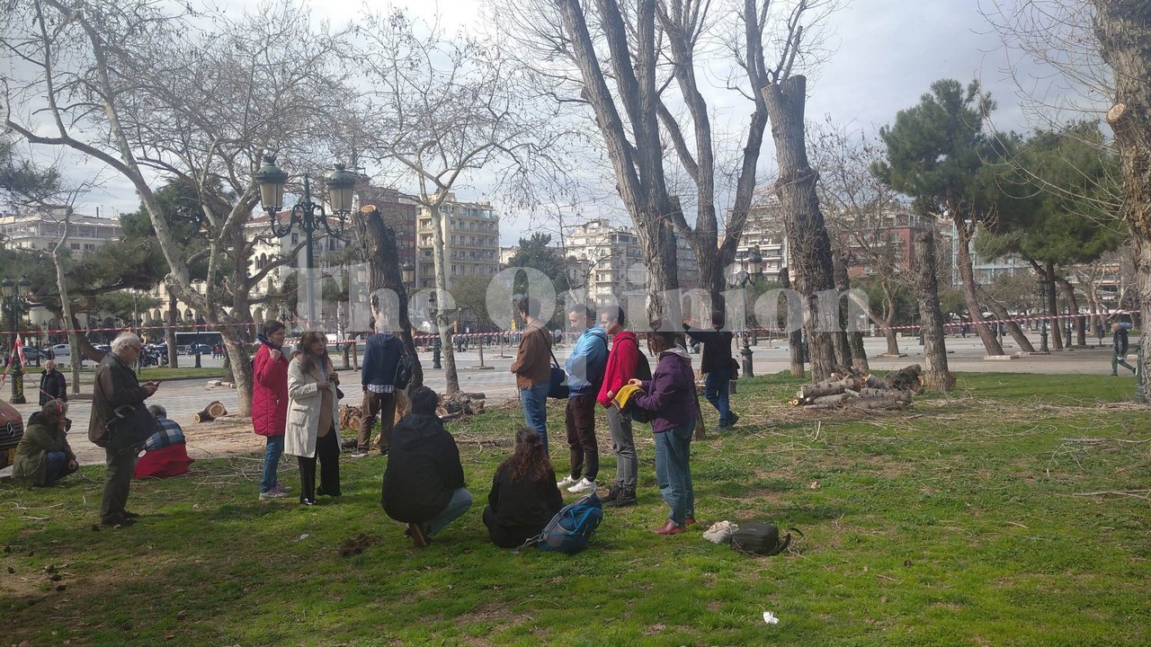 Πλατεία Ρωμαϊκής Αγοράς: Ασφαλιστικά μέτρα κατά της κοπής δέντρων (ΦΩΤΟ)