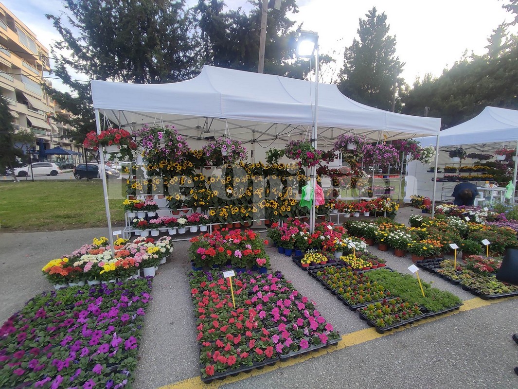 Ανθοέκθεση Αμπελοκήπων Μενεμένης: “Πλημμύρισε” χρώματα και αρώματα της άνοιξης (ΦΩΤΟ-VIDEO)