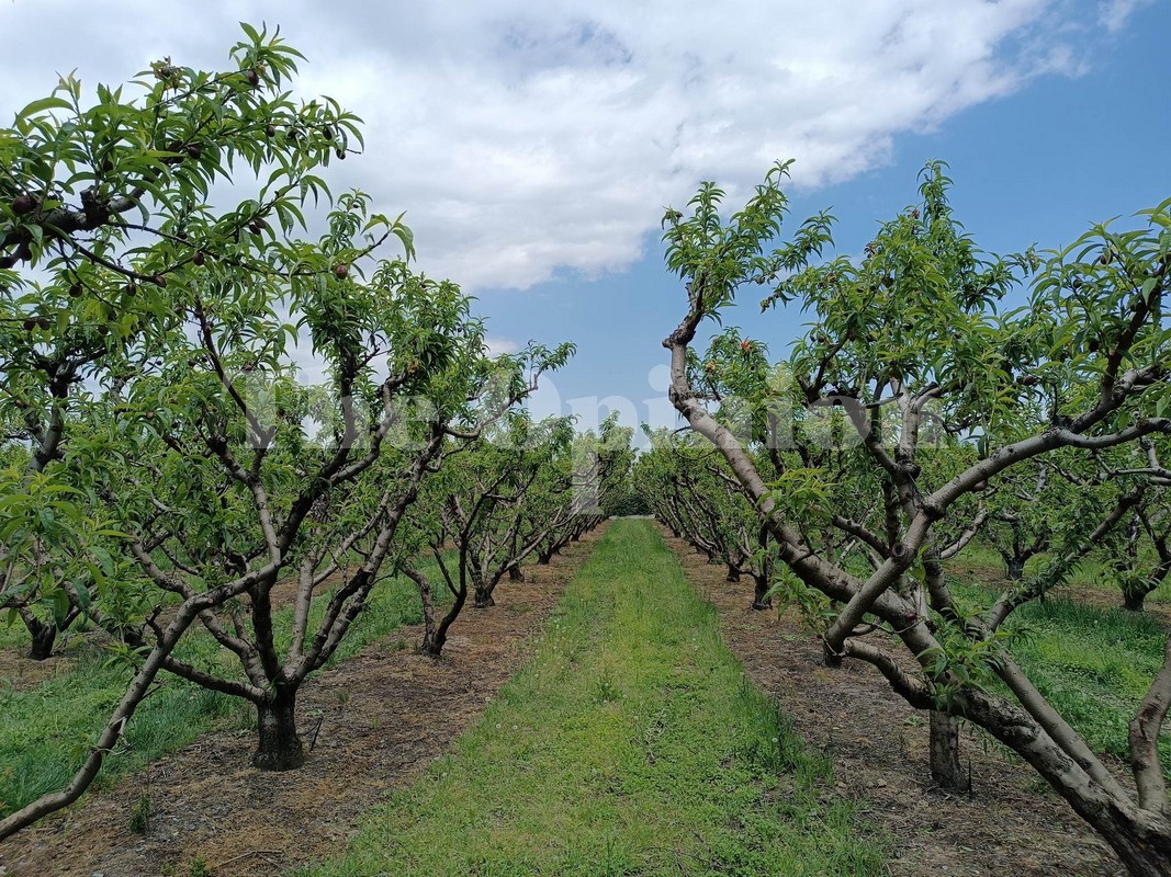 Σε δημόσια διαβούλευση το μέτρο στήριξης επενδύσεων για μεταποίηση, εμπορία και ανάπτυξη αγροτικών προϊόντων ύψους 135 εκατ. ευρώ