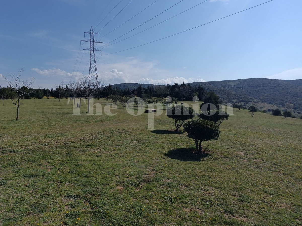 «Σάρκα και οστά» παίρνει το Περιαστικό Δάσος Ευκαρπίας – Το φθινόπωρο οι πρώτες φυτεύσεις