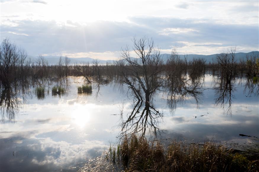 Λίμνη Δοϊράνης: Σύσκεψη για την απαγόρευση αλιείας – Τι αποφασίστηκε