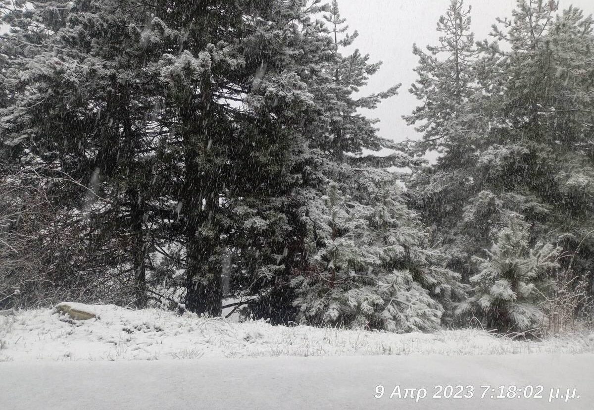 Στα «λευκά» τη Μεγάλη εβδομάδα τα ορεινά της Ελασσόνας! (ΦΩΤΟ)