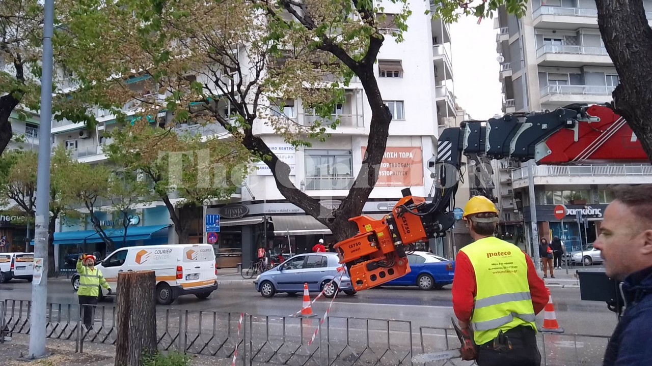 Νέα εποχή για την Τσιμισκή – Φεύγουν οι φτελιές έρχονται οι κελτίδες – Ξεκίνησαν οι εργασίες (ΦΩΤΟ-VIDEO)