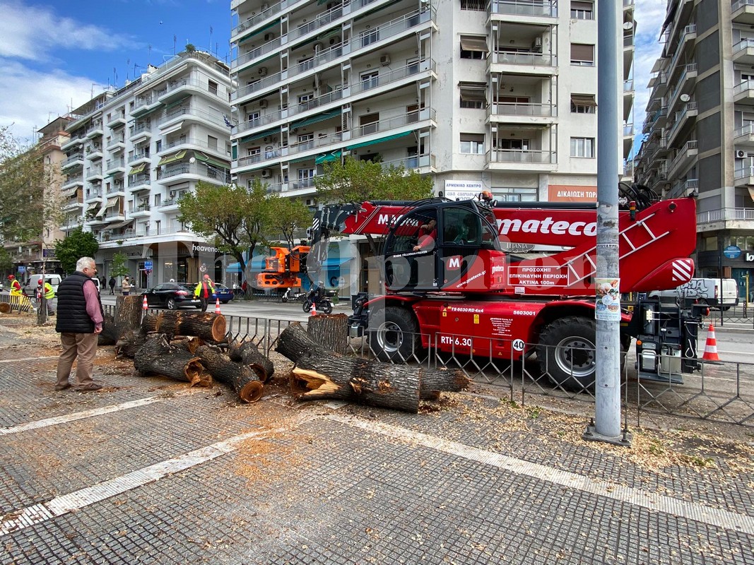 Νέα εποχή για την Τσιμισκή – Φεύγουν οι φτελιές έρχονται οι κελτίδες – Ξεκίνησαν οι εργασίες (ΦΩΤΟ-VIDEO)