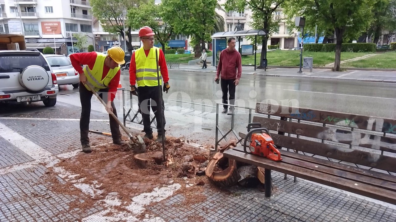 Νέα εποχή για την Τσιμισκή – Φεύγουν οι φτελιές έρχονται οι κελτίδες – Ξεκίνησαν οι εργασίες (ΦΩΤΟ-VIDEO)
