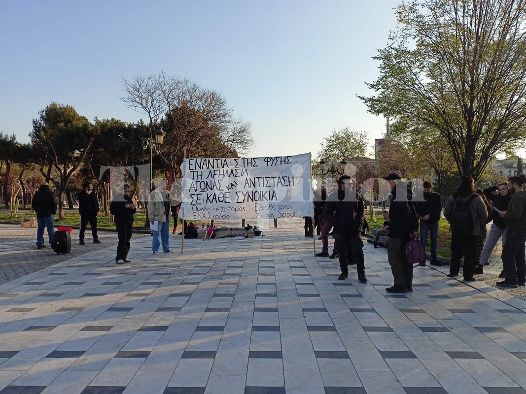 “Ενάντια στης φύσης τη λεηλασία” – Συγκέντρωση διαμαρτυρίας για τις κοπές των δέντρων (ΦΩΤΟ+VIDEO)