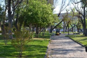 Θεσσαλονίκη: Επιχείρηση καθαρισμού στο πάρκο της ΧΑΝΘ (ΦΩΤΟ)