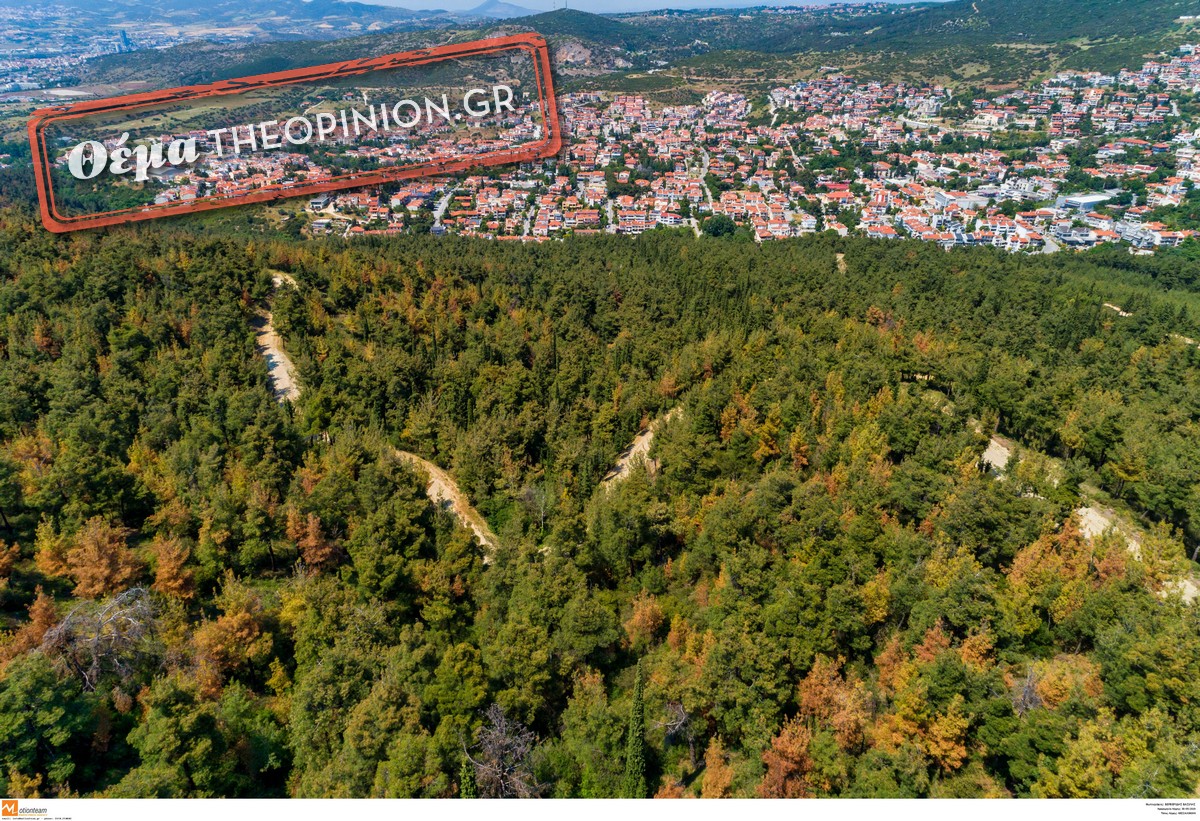 Σε αυξημένη επιφυλακή  για την αντιπυρική περίοδο – Το σχέδιο προστασίας του Σέιχ Σου