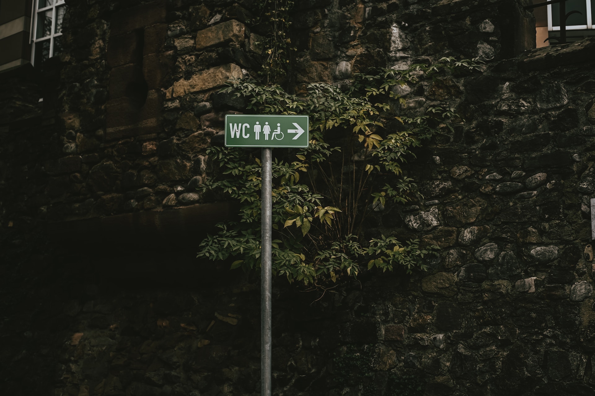 WC,