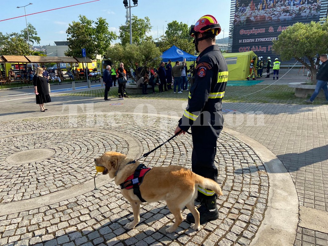 Θεσσαλονίκη: Εικόνες πολέμου στο Δημαρχείο μετά τα 5,8 ρίχτερ στο πλαίσιο άσκησης (ΦΩΤΟ+VIDEO)