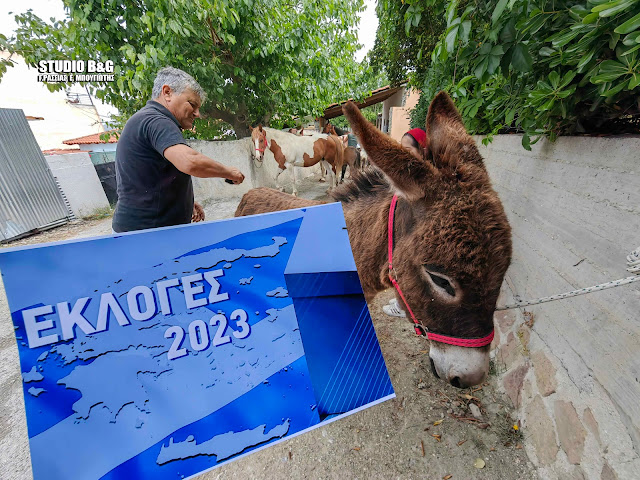 Διαμαρτυρία με… άλογα και γαϊδούρια σε εκλογικό κέντρο του Ναυπλίου (VIDEO)