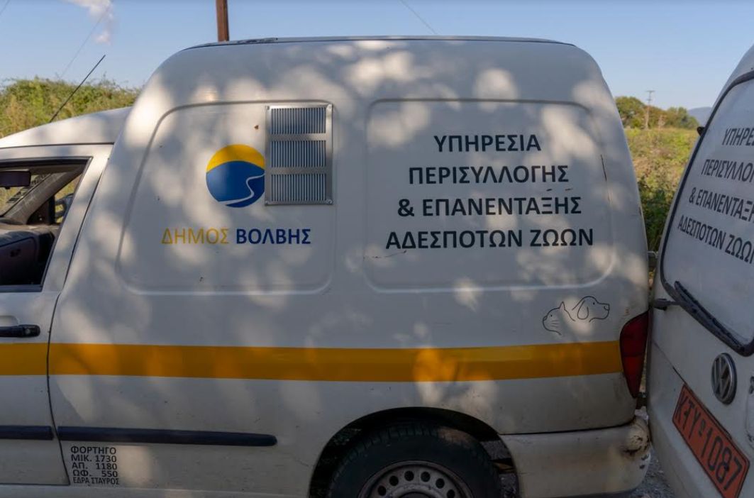 Δ. Βόλβης: Εμβολιασμοί και στειρώσεις σε αδέσποτα ζώα