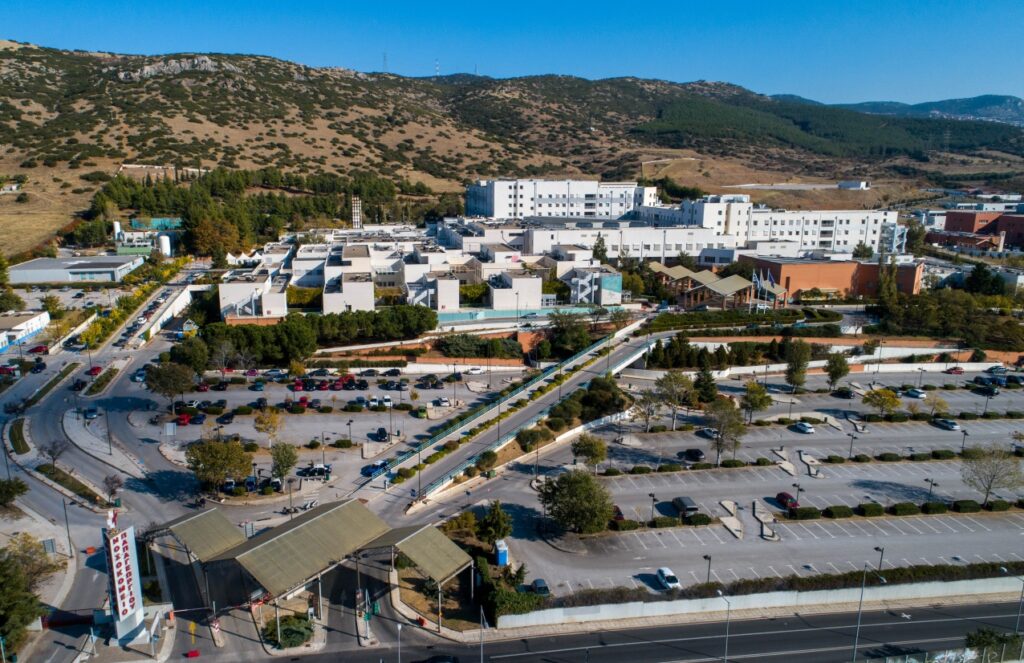 Παπαγεωργίου,